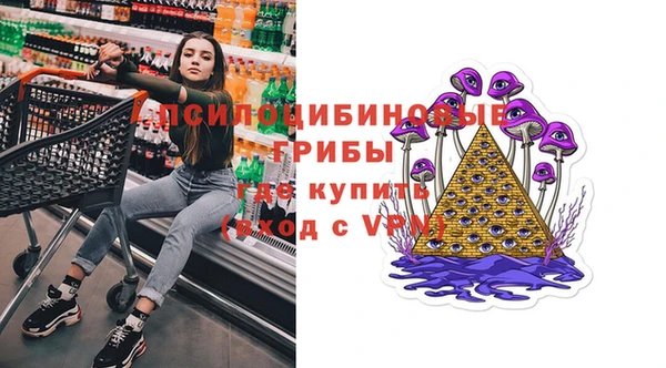 тгк Инта